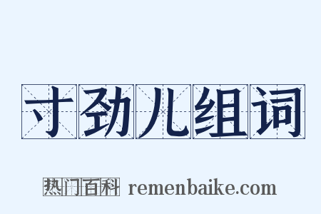 寸劲儿组词是什么意思的图片
